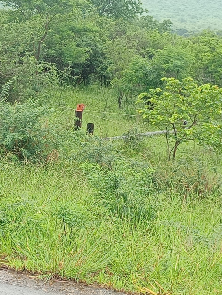 TZANEEN VILLAGES HIT BY COPPER CABLE THEFT